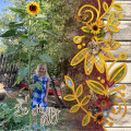 2020/09/30/Flower_Garden_-_Rochelle_by_Rochelle86.jpg