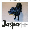 jasperOct-