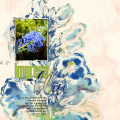 2021/06/01/12X12-CEANOTHUS-BUSH---IMPRESS-WITH-BLUE_by_wombat146.jpg