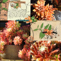 2021/09/28/12X12-SUCCULENTS---THRIVING_by_wombat146.jpg