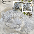 2022/01/26/snow-leopard_by_Scrapdolly.jpg