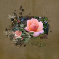 2022/07/21/12X12-ROSE---HAPPINESS_by_wombat146.jpg