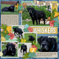2022/09/03/whiskers-web-700_by_Heather_B.jpg
