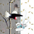 2023/02/24/12X12-GALAH---FREE-AS-A-BIRD_by_wombat146.jpg