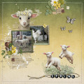 2023/04/16/sweet-lambs_by_andastra.jpg