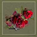 2023/04/17/12X12-RED-ROSE---MIDNIGHT-DREAMING_by_wombat146.jpg