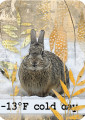 2024/01/23/cold-day-_bunny-ATC_--_by_DK.jpg