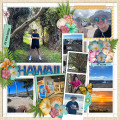 hawaiiRigh