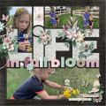 2024/05/22/Life_in_Full_Bloom_-_Rochelle_-_01_by_Rochelle86.jpg
