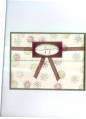 2006/11/06/christmascardclosed_by_stampin_momma.jpg