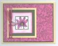 2006/10/18/October_18_2006_SC94_Passion_Pink_Lily_by_Judy_Tulloch.jpg