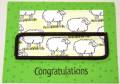 2005/05/14/Congrats_Sheep.JPG