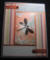 2006/11/26/dragonfly_by_pressed4time.jpg