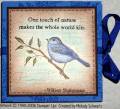 2006/08/18/AUG06VSNB_mms_bluebird_by_lacyquilter.jpg