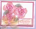 2005/04/04/roses_Maureen_s_birthday_card.jpg