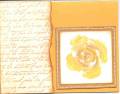 2006/04/28/Roses_in_Winter--_yellow_faux_stitching_by_sarahm25.jpg