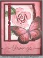 2006/06/06/CC65_mms_blessed_rose_by_lacyquilter.jpg