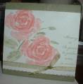 2007/05/31/WT115_Coral_Roses_by_crooked_river.jpg