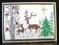 2010/12/05/DSCF4203_Christmas_in_the_Forest_by_Auntie_Susan.JPG