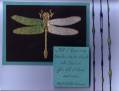2006/01/22/Dragonfly_faux_cloisonne_CASE_by_mamacydds.jpg