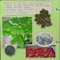 2006/09/26/page_5_-_trees_and_plants_from_ns_by_wiggydl.jpg