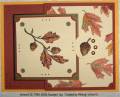 2006/10/18/SC94_mms_fall_leaves_by_lacyquilter.jpg