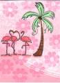 2009/02/25/flamingo_pinks_by_glitterbabe.jpg