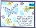 2007/01/07/butterfly_of_happiness_4_by_s1itcher46.JPG