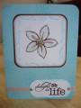 2007/02/05/Delight_in_Life_CC100_by_Stampin_Christi.JPG