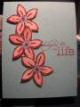 2007/03/23/Delight_in_Life_anniversary_card_001_by_jacobsmeemaw.jpg