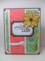 2008/05/15/2008_0509Cards0016_by_discoverstampin.JPG
