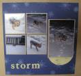 2007/10/11/Jan_Snow_Storm_-_Right_by_sullypup.jpg
