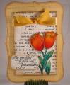 tulips_by_