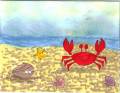 2007/07/13/7-1-07_JT_Crab_Company_by_Judy_Tulloch.jpg