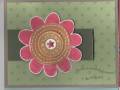 2007/05/04/Stampin_Up_Cards_to_put_on_Website_005_by_Kiemel4.jpg