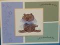 2007/03/08/Ziebold_Baby_Card_by_newstampinaddict.JPG