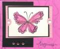 2007/05/27/Ruffled_Butterfly_3_by_stamps4sanity.jpg