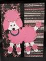 2010/10/25/poodles_005_by_TampaShelley.jpg