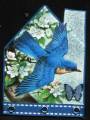 blue_bird_